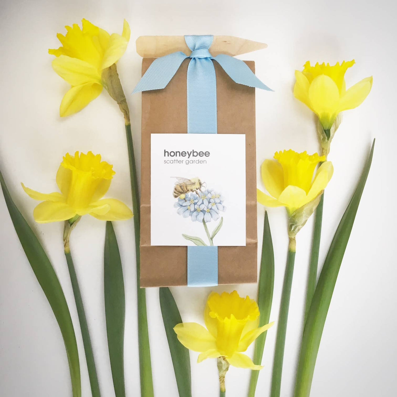 Scatter Garden | Honeybee | Pollinator Garden |